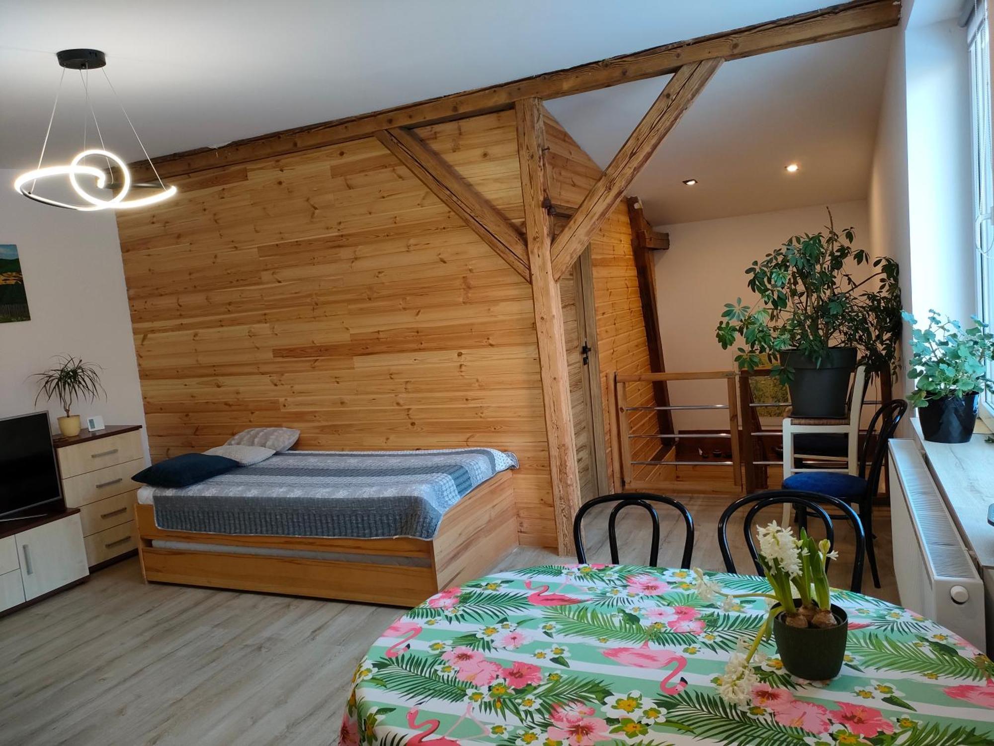 Apartamento Aparament Brzozowisko Zelazno  Habitación foto